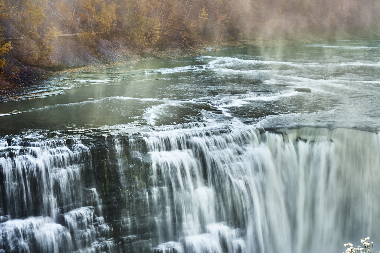 Indian Summer, Letchworth State Park, NY, USA